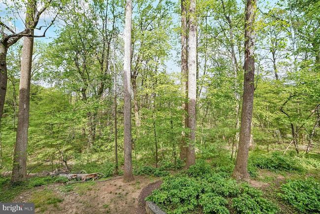 5K - 15311 Diamond Cove Ter, Condo with 2 bedrooms, 2 bathrooms and null parking in ROCKVILLE MD | Image 32