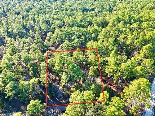 TBD Sw 155th Ave, Ocala, FL, 34481 | Card Image