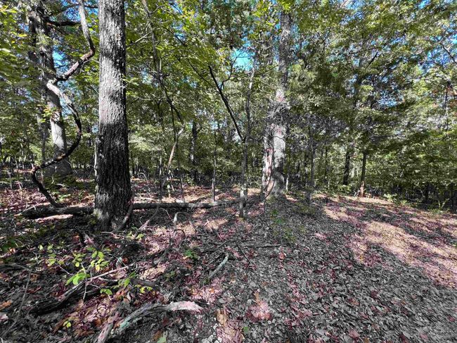 654 Warrior Rd, House other with 1 bedrooms, 1 bathrooms and null parking in Harriet AR | Image 23