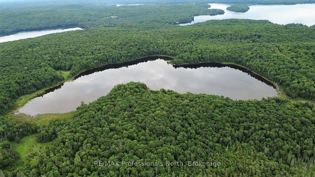 0 Harburn Rd, Home with 0 bedrooms, 0 bathrooms and null parking in Haliburton ON | Image 9