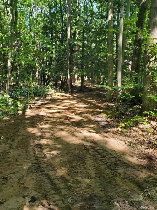 8404 Partridge Woods, Elk Rapids Village, MI, 49629 | Card Image
