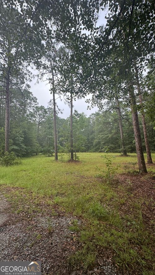 0 Sarah Lynn Dr, Claxton, GA, 30417 | Card Image