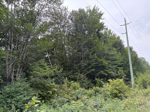 0 Hemlock Rd, Trout Creek, ON, P0H2L0 | Card Image