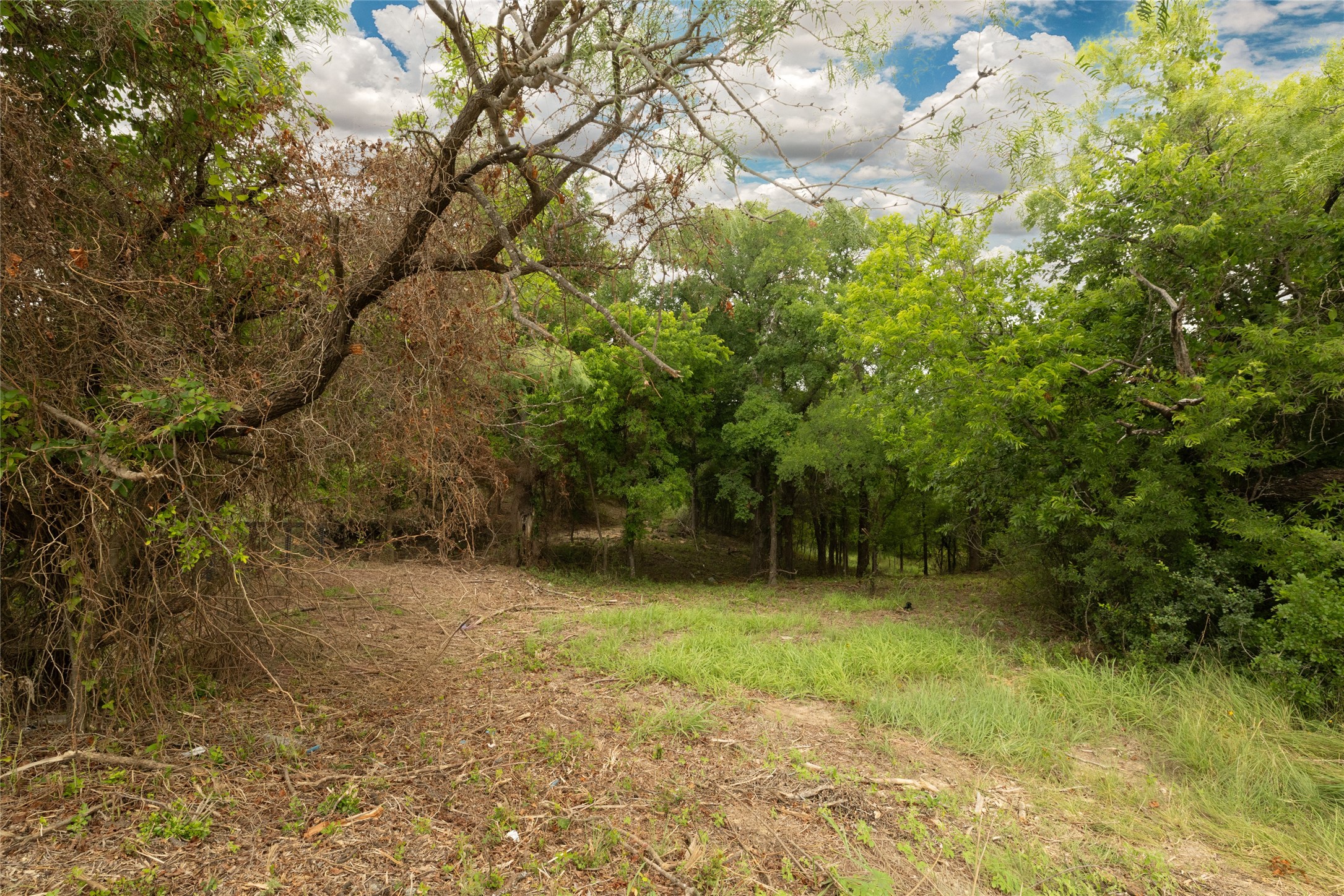 Land in Runaway Bay 3