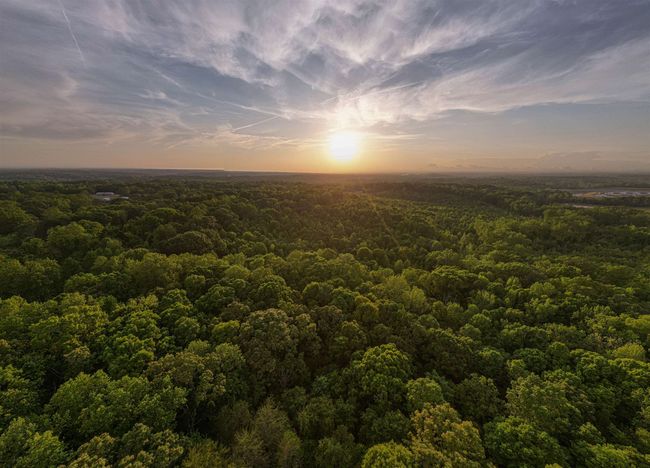 0 Ice House Rd, Home with 0 bedrooms, 0 bathrooms and null parking in Enoree SC | Image 26