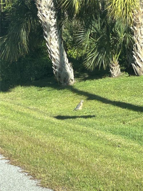 23 Mooring Pl, PLACIDA, FL, 33946-5116 | Card Image