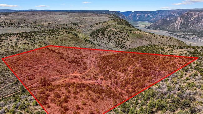 7465 Uncompahgre Divide Rd, Home with 3 bedrooms, 1 bathrooms and null parking in Whitewater CO | Image 31