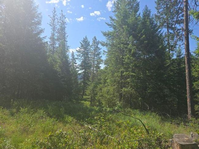 3418 Kingsbury Lake Way, Home with 0 bedrooms, 0 bathrooms and null parking in Kettle Falls WA | Image 8