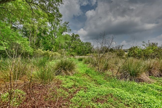 View of nature | Image 27