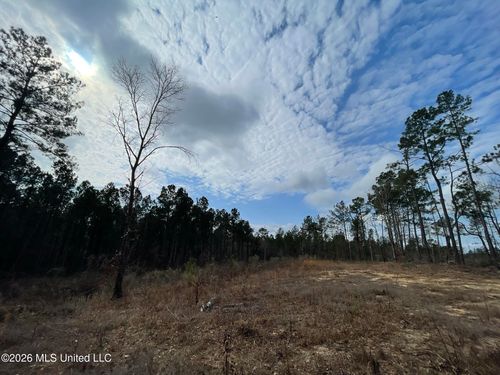 371 Sw Low Water Lane, Brookhaven, MS, 39601 | Card Image