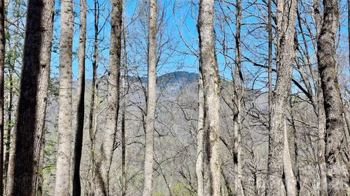 00 Maynor Dr, Sylva, NC, 28779 | Card Image