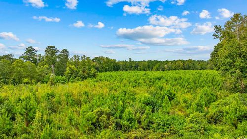TBD Carter Rd, Loris, SC, 29569 | Card Image