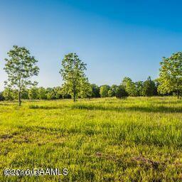 Land in St. Martinville
