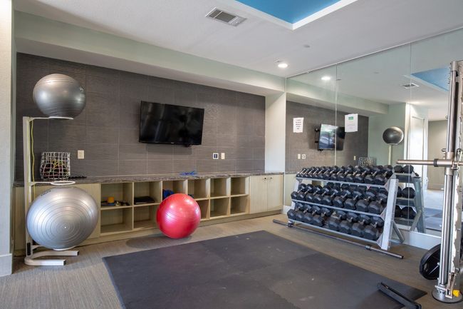 Gym | Image 26