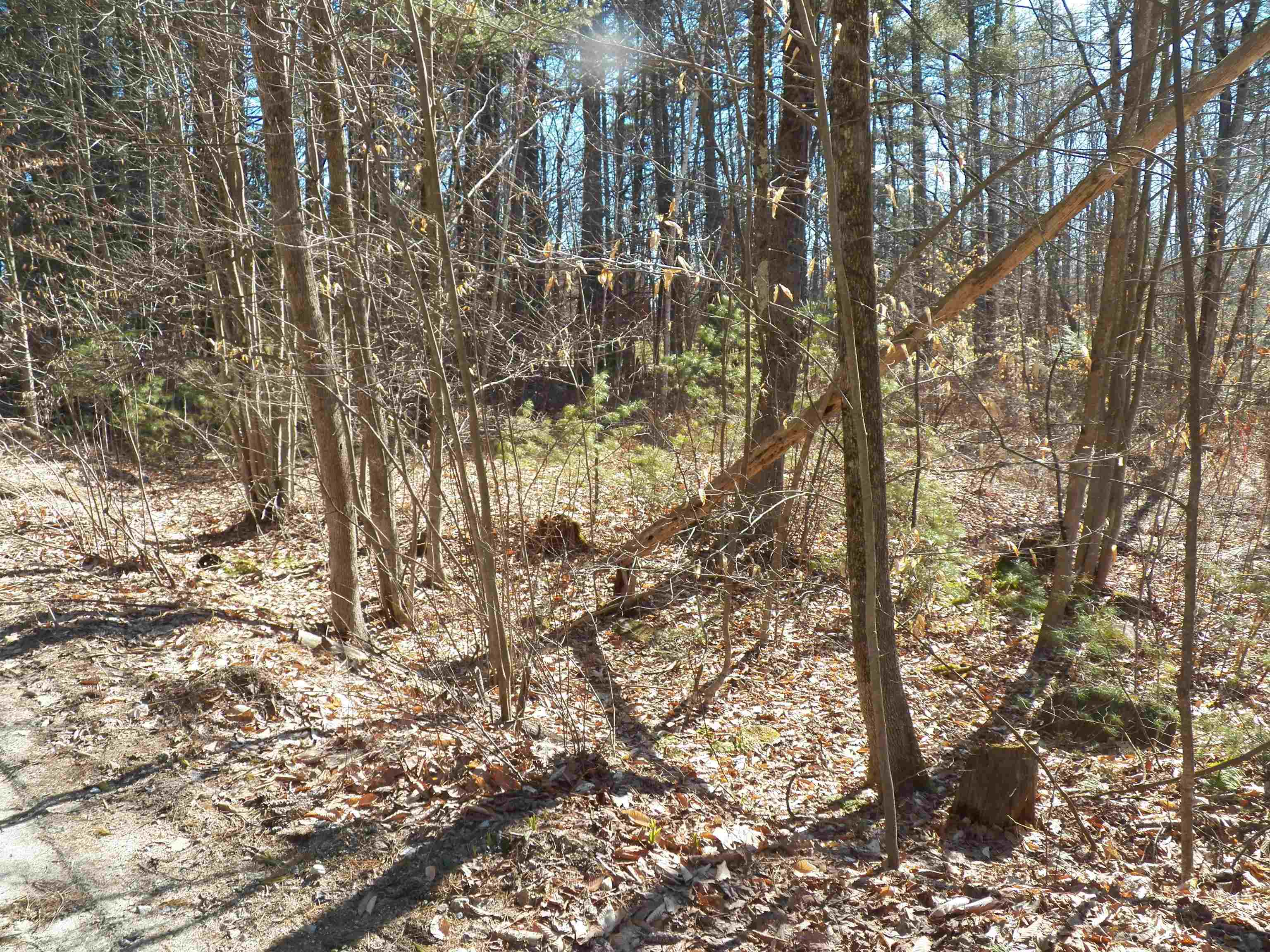 Land in Hillsborough 4