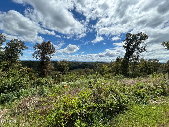 1300 Fish Hatchery Rd, House other with 3 bedrooms, 2 bathrooms and null parking in Mohawk TN | Image 27