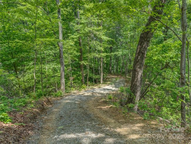 000 White Rock Branch Rd, Home with 0 bedrooms, 0 bathrooms and null parking in Candler NC | Image 19