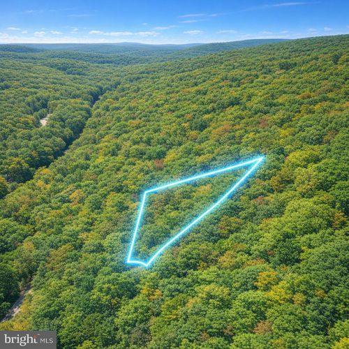 LOT 170 Forest Ridge Trail, Fort Valley, VA, 22652 | Card Image