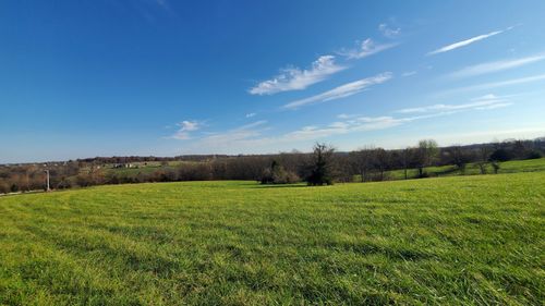 lot-17-6474 W Republic Rd, Republic, MO, 65738 | Card Image