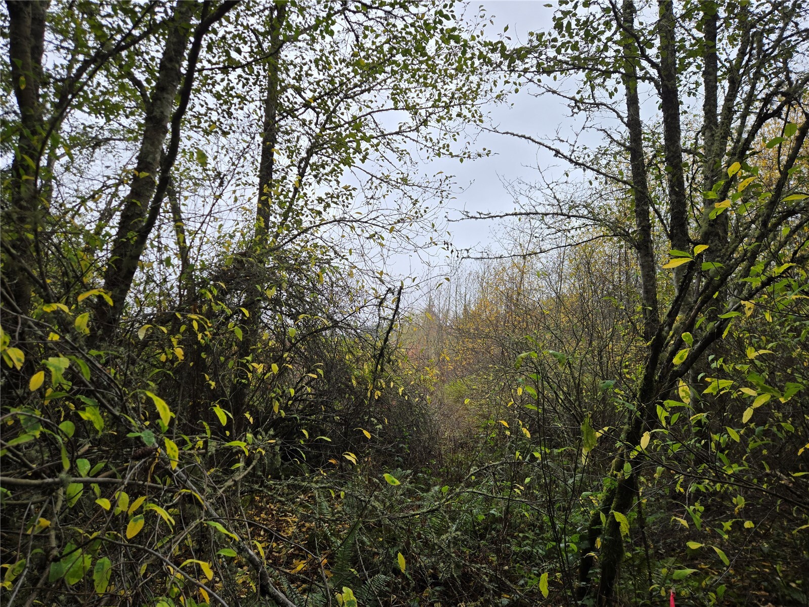 Land in Sequim