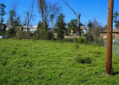 tbd Redbud Rdg, Onalaska, TX, 77360 | Card Image