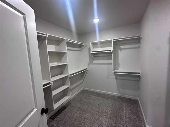 Spacious closet featuring dark carpet | Image 9