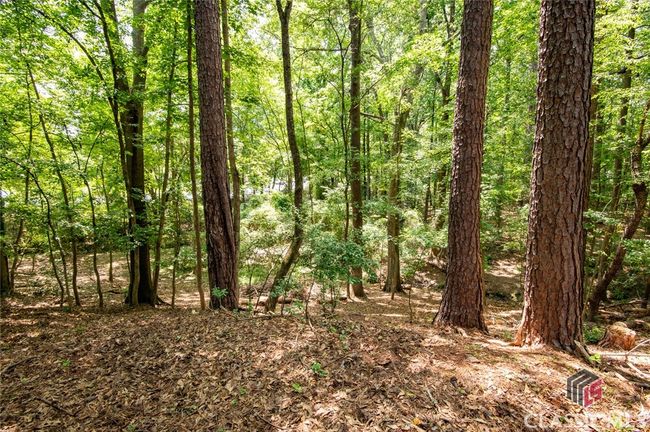 165 Spring Lake Dr, House other with 3 bedrooms, 2 bathrooms and 2 parking in Athens GA | Image 40