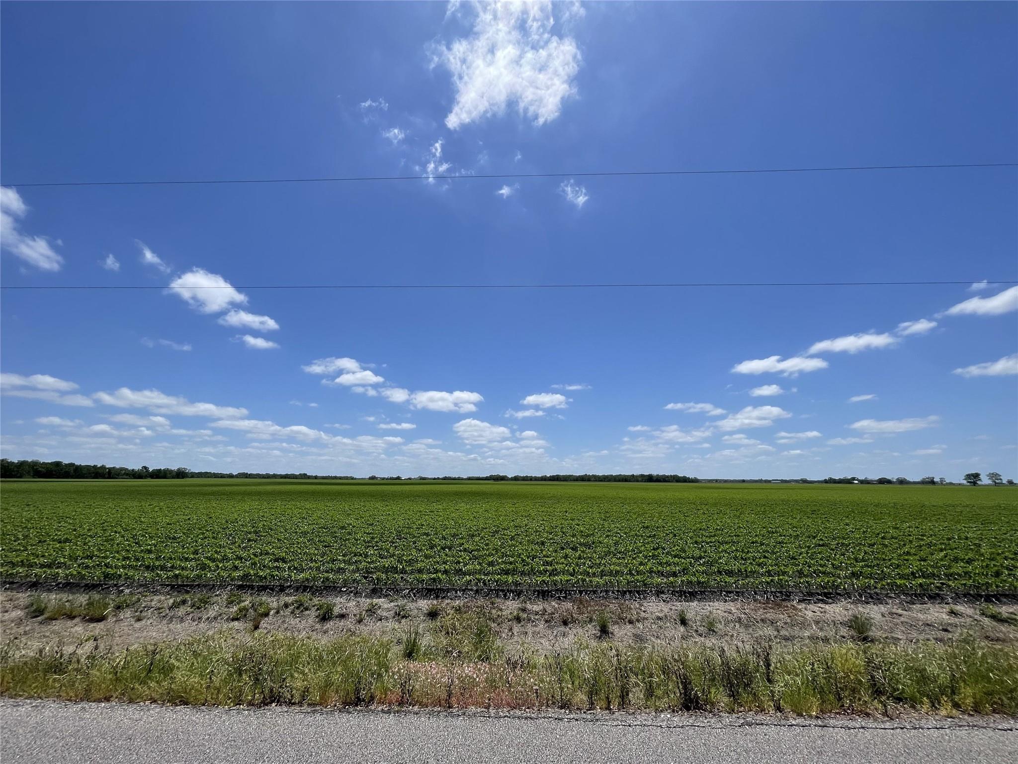 Farm in Damon 4
