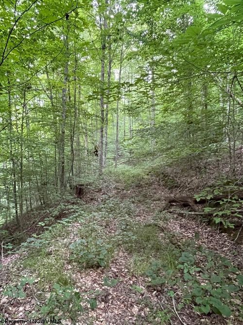 TBD Weirlong Rd, Clendenin, WV, 25045 | Card Image