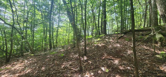 20 Bluff View Loop, Home with 0 bedrooms, 0 bathrooms and null parking in Allardt TN | Image 6