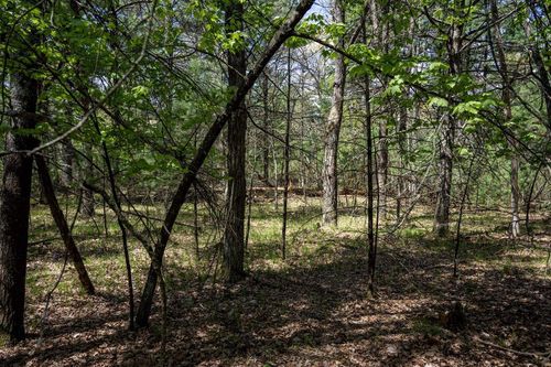 Lot 39 S Badger Ln, Arkdale, WI, 54613 | Card Image