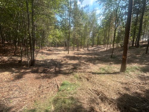 13 Stonechase Ln, Cohutta, GA, 30710 | Card Image