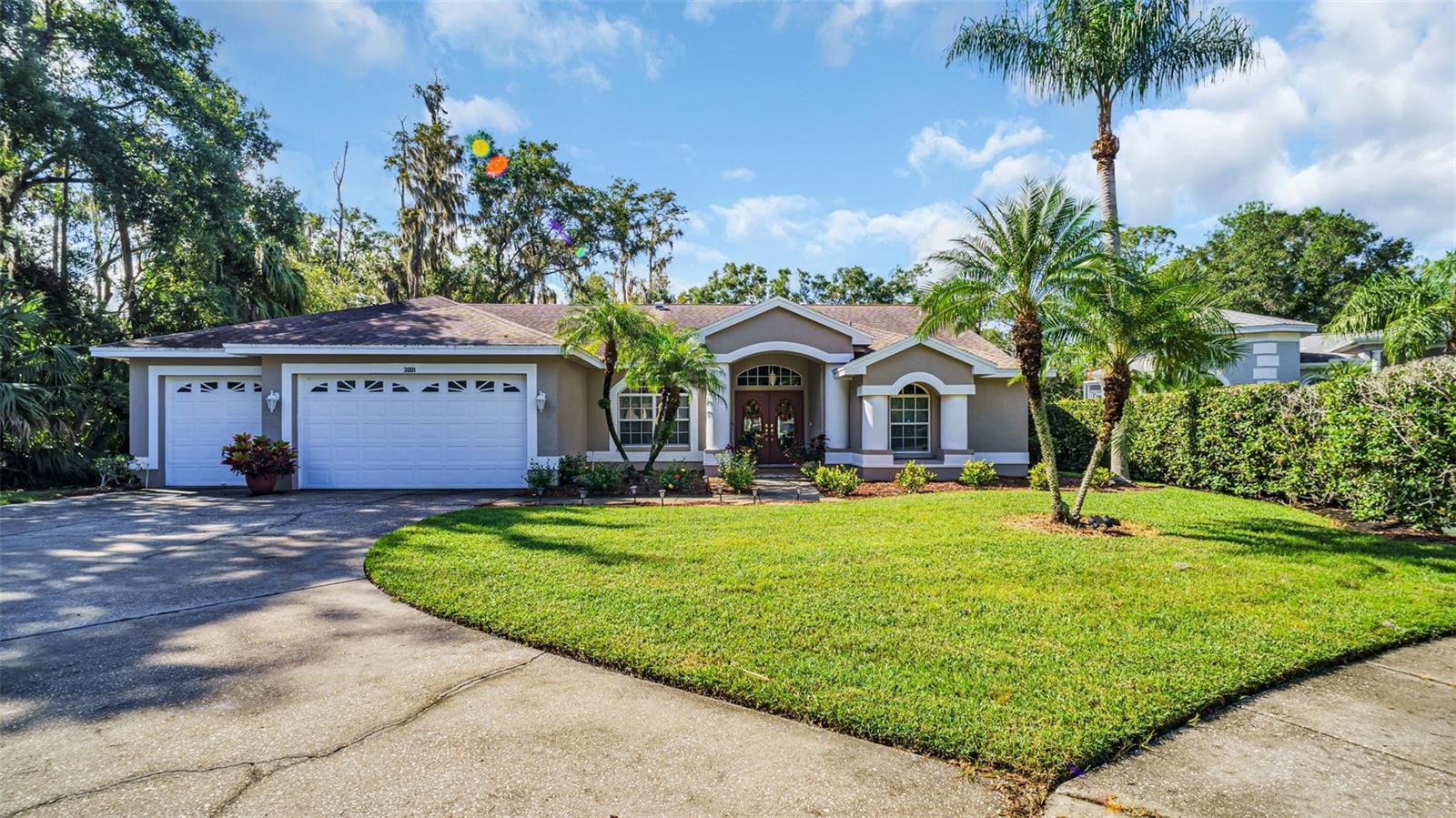 Bolt Dr, Palm Harbor, FL 34685