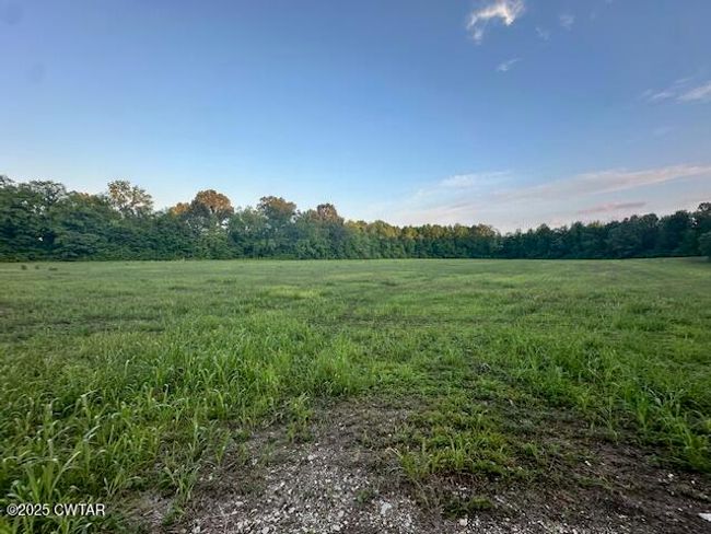 0 Old Trezevant Rd, Home with 0 bedrooms, 0 bathrooms and null parking in Trezevant TN | Image 8