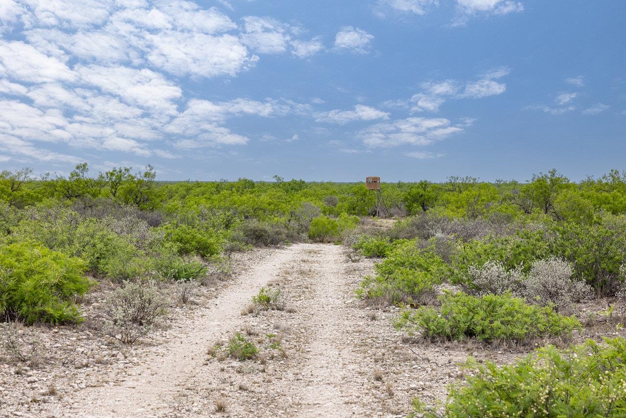 Land in Del Rio 2