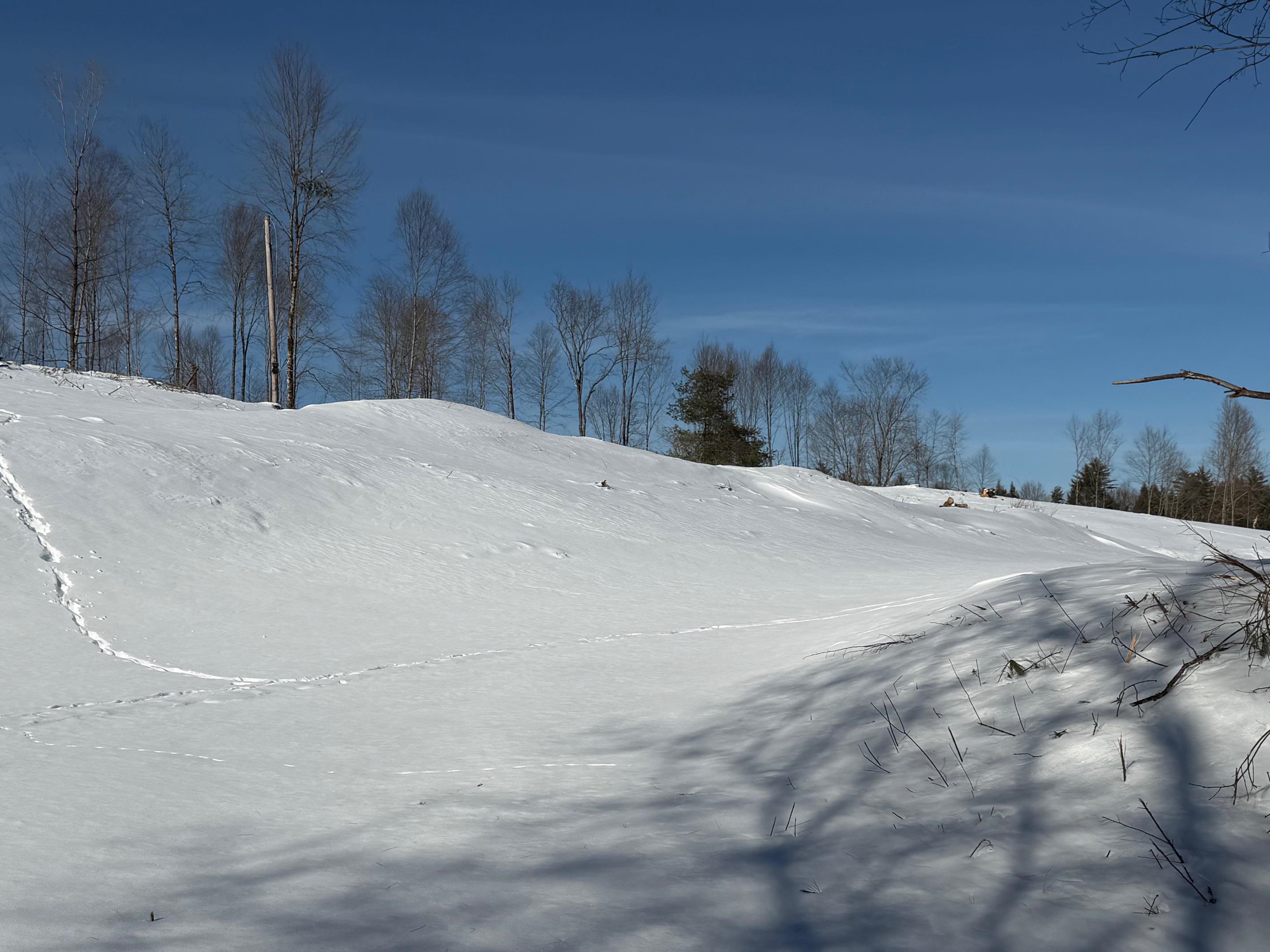 Land in Northfield
