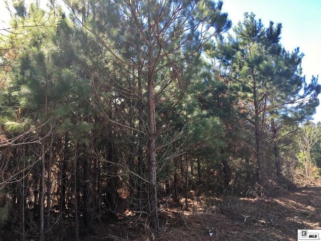 0 Tucker Store Rd, Home with 0 bedrooms, 0 bathrooms and null parking in Spearsville LA | Image 15