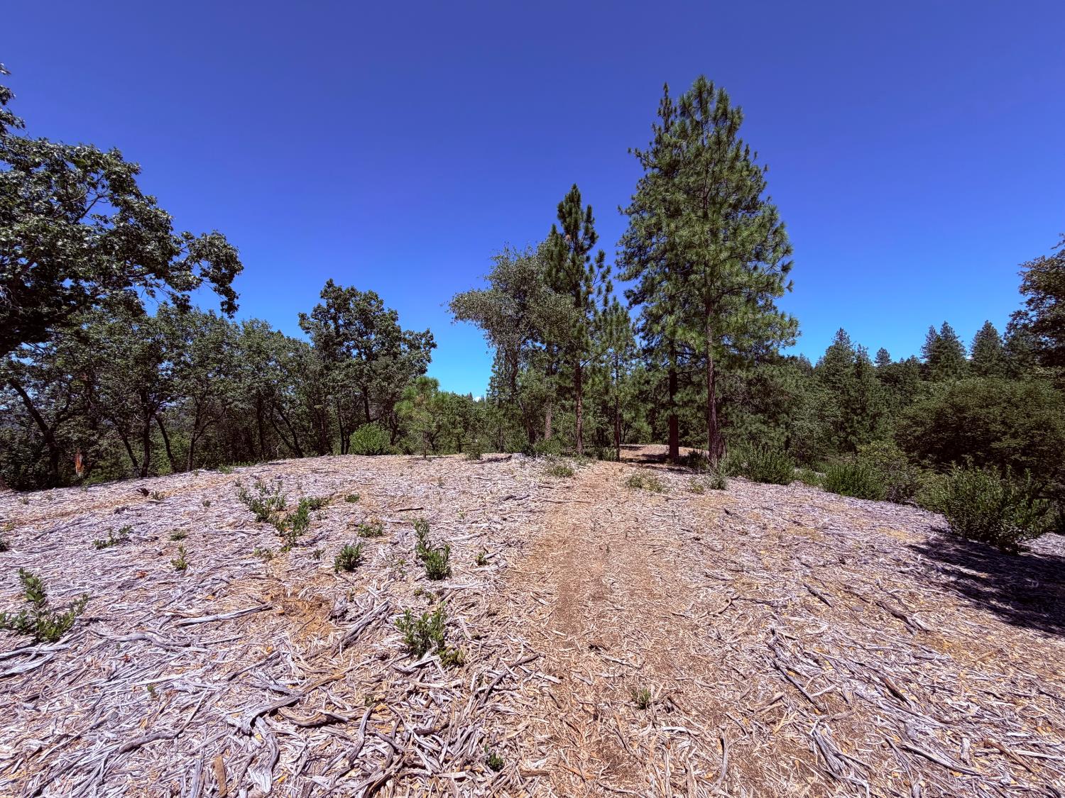 Land in Placerville 3