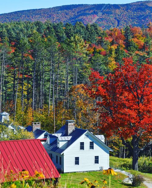 4669 Vt Route 100, Londonderry, VT, 05148-9711 | Card Image