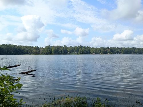 700 County Road 3160, Colmesneil, TX, 75938 | Card Image