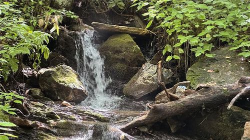 000 Joines Rd, Creston, NC, 28615 | Card Image