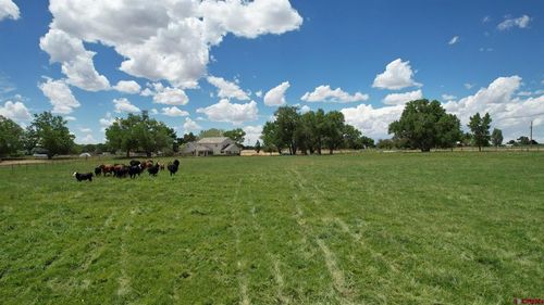 TBD Road M, Dolores, CO, 81323 | Card Image
