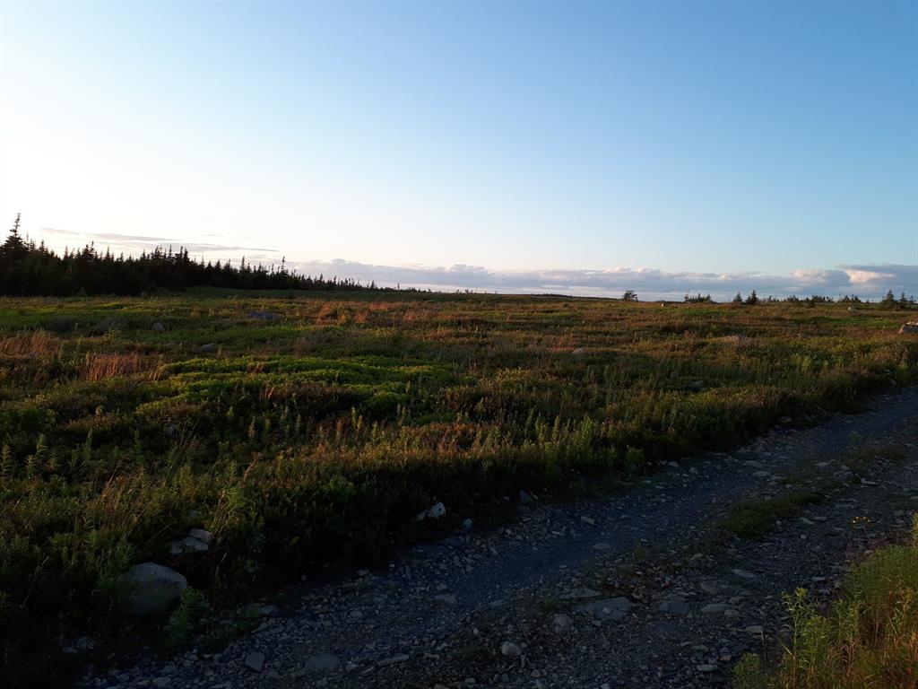 Commercial Sale in Whitbourne 5