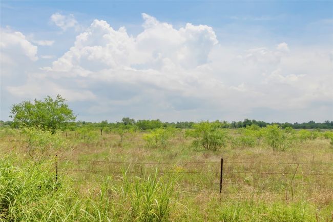 View of undeveloped land featuring rural landscape | Image 4