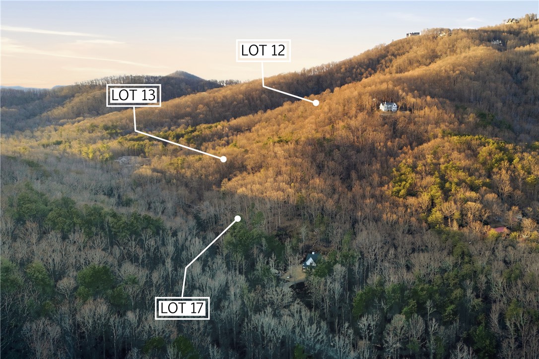 Land in Landrum 3