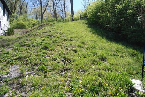 764 Delta Ave, Cincinnati, OH, 45226-1984 | Card Image