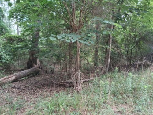 TBD Dogwood Dr, Murchison, TX, 75778 | Card Image