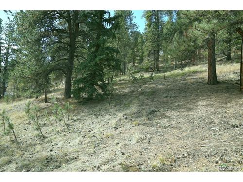 188 Brown St, BAILEY, CO, 80421-1518 | Card Image