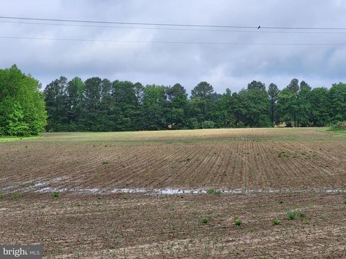 Lot A Blades Rd, CORDOVA, MD, 21625 | Card Image