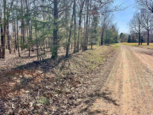 000 Dabney Rd, Home with 0 bedrooms, 0 bathrooms and null parking in Jerusalem AR | Image 36